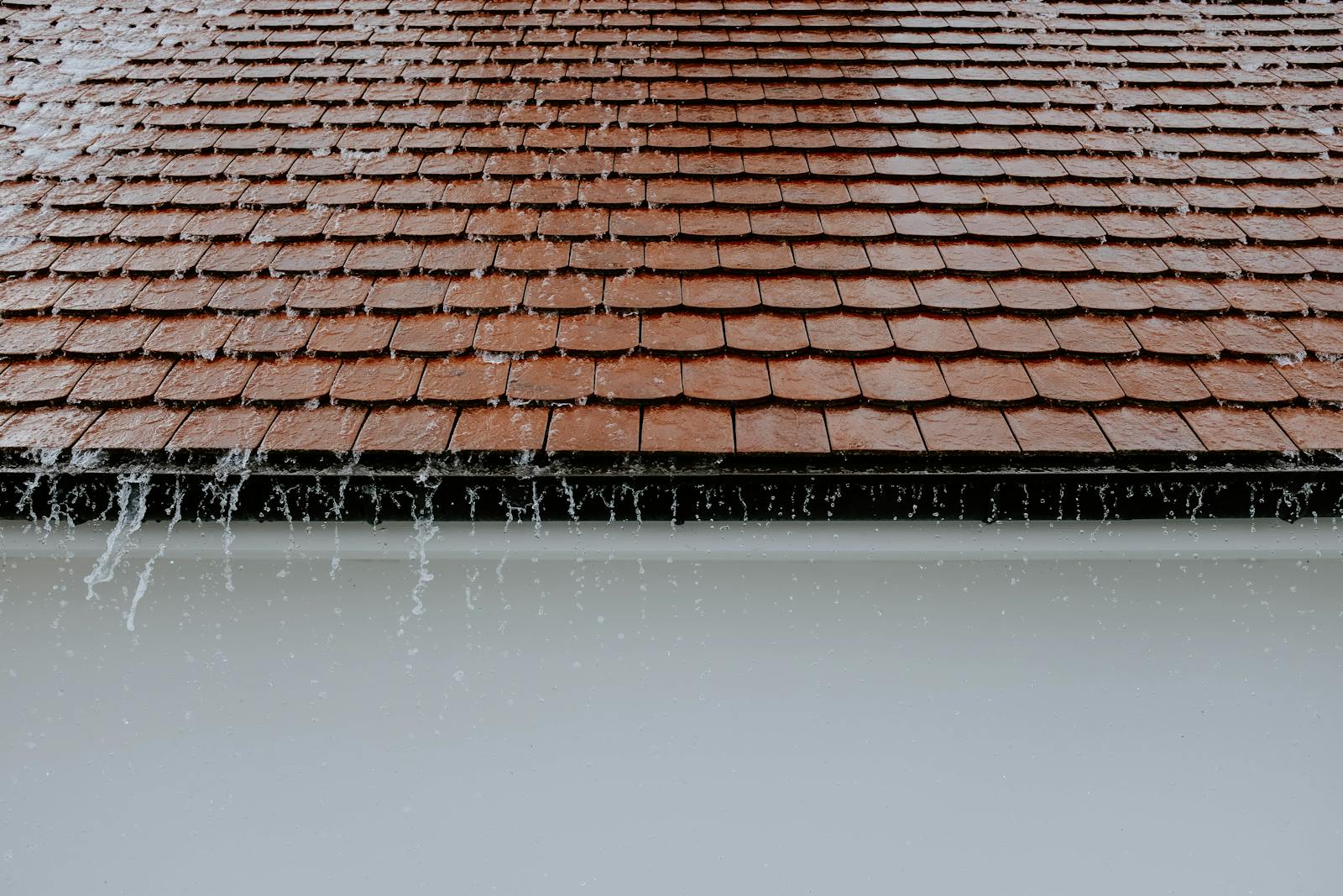 Roof Soft Wash